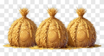 Hay Bales In A Field PNG