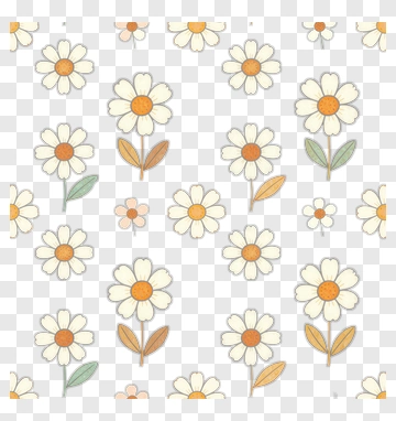 Colorful Floral Pattern With Daisies PNG