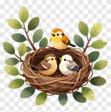 Birds In A Nest With Leaves PNG