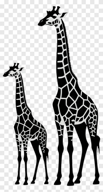 Silhouette Giraffes PNG