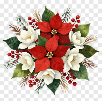Christmas Floral Arrangement With Poinsettias And White Flowers PNG