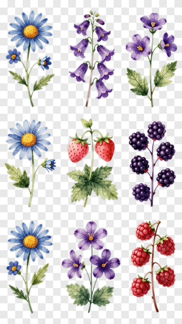 Colorful Floral Arrangement With Flowers And Berries PNG