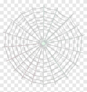 Web Pattern PNG