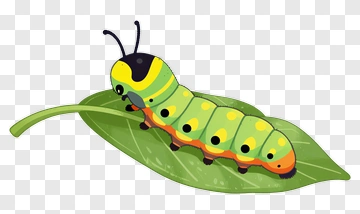 Cartoon Caterpillar On A Leaf PNG