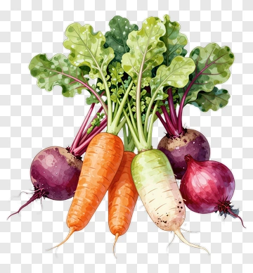 Colorful Root Vegetables With Greens PNG
