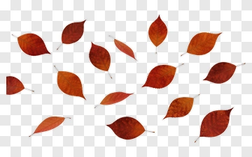 Autumn Leaves Falling PNG