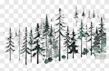 Watercolor Forest Of Pine Trees PNG