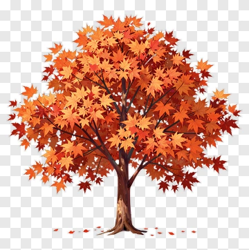 Colorful Autumn Maple Tree PNG