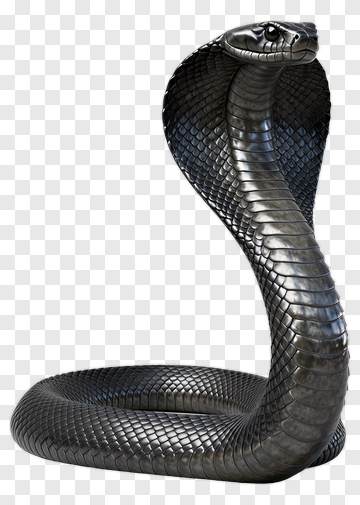 3D Black Cobra PNG