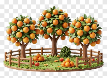 3D Orange Orchard With Fruit Trees PNG