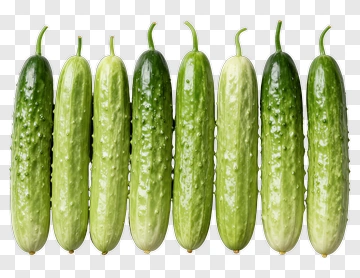 Fresh Cucumbers In A Row PNG