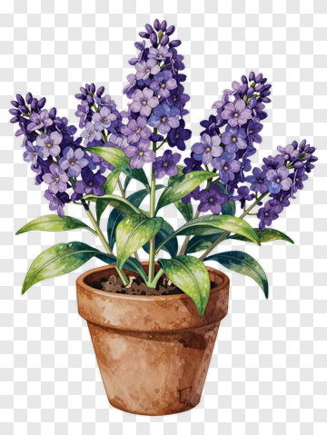 Colorful Potted Purple Flowers PNG