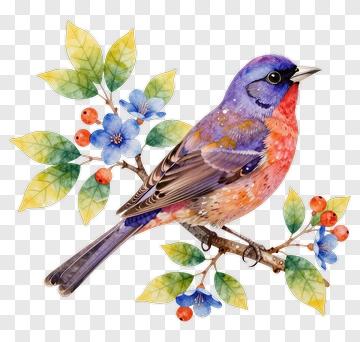 Colorful Bird On A Branch With Flowers PNG