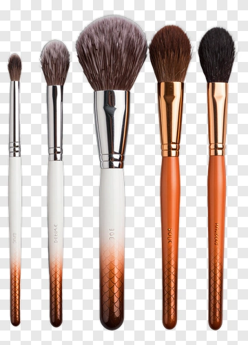 Makeup Brush Set PNG