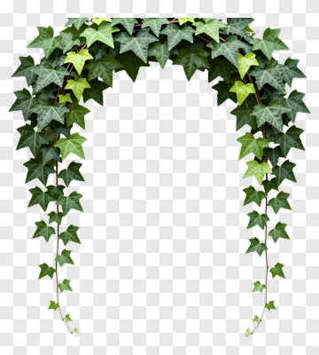 Ivy Arch Decoration PNG
