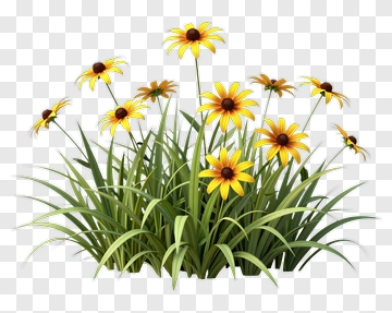 Colorful Flower Bouquet PNG