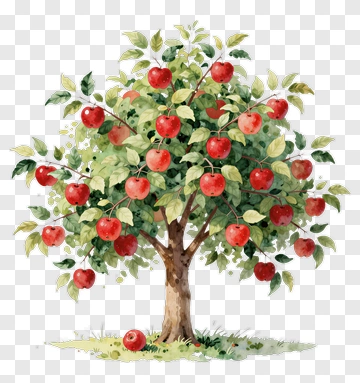Apple Tree With Red Apples PNG