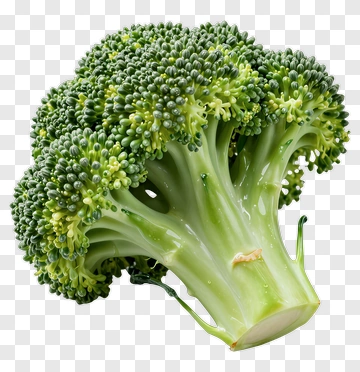 Fresh Broccoli PNG