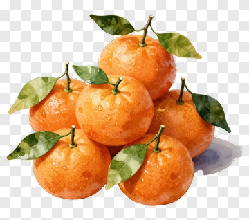 Fresh Oranges With Leaves PNG