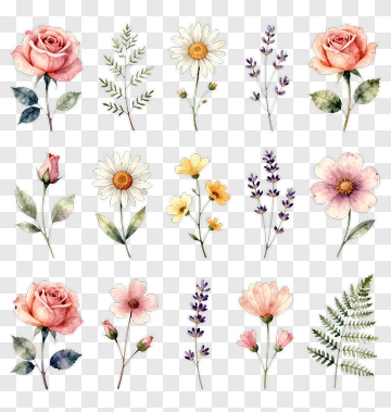 Watercolor Flower Collection PNG