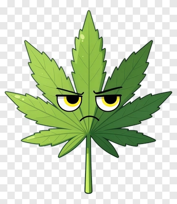 Cartoon Marijuana Leaf With Angry Expression PNG