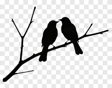 Silhouette Of Two Birds Sitting On A Branch PNG