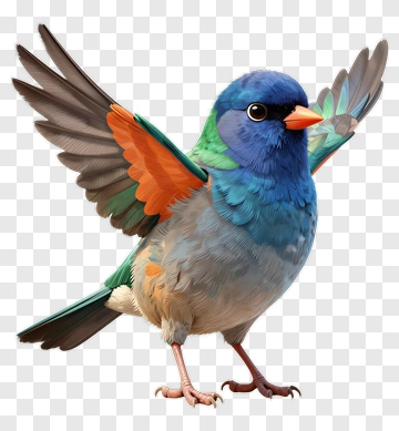 Colorful Bird With Outstretched Wings PNG
