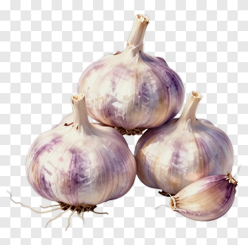 Fresh Garlic Bulbs PNG