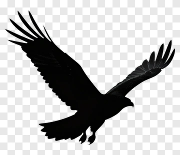 Silhouette Of A Flying Bird PNG