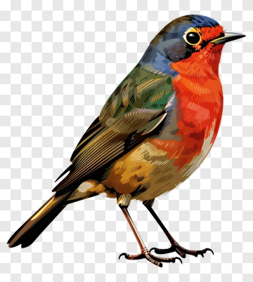 Colorful Bird With Blue And Red Feathers PNG