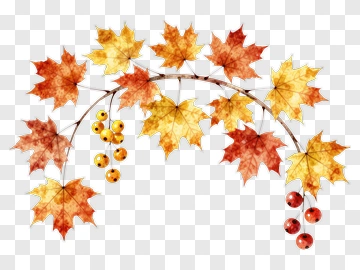 Autumn Leaves And Berries Arrangement PNG