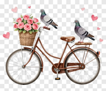 Bicycle With Flowers And Pigeons PNG