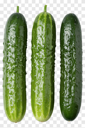 Fresh Cucumbers PNG