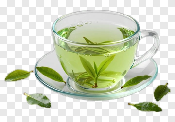 Green Tea Cup With Fresh Leaves PNG
