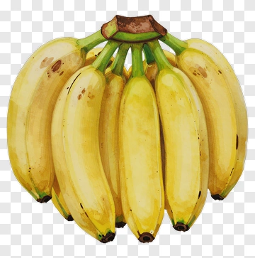 Bunch Of Yellow Bananas PNG