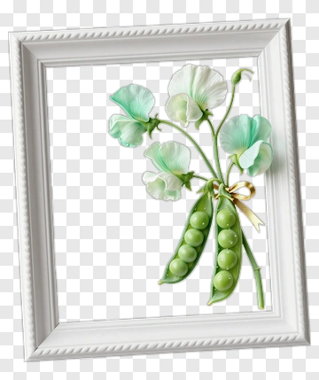 Framed Pea Pod With Blossoms PNG