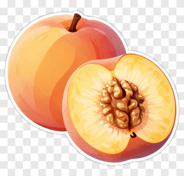 Peach Fruit Illustration PNG