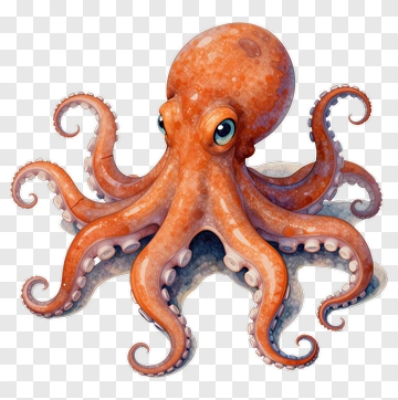 Cartoon Octopus PNG