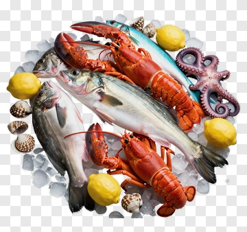 Seafood Arrangement With Lobster And Octopus PNG