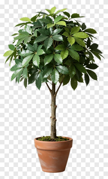 Felt Tree In A Pot PNG