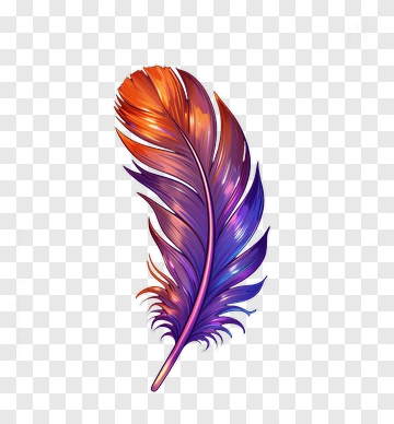 Colorful Feather PNG