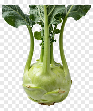 Kohlrabi With Green Leaves PNG