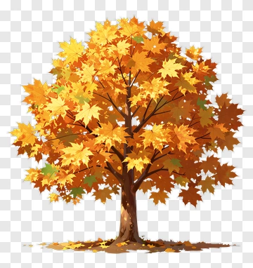 Colorful Maple Tree PNG
