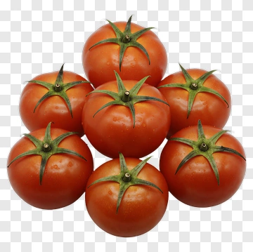 Group Of Fresh Tomatoes PNG