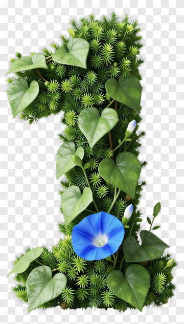 Floral Number One PNG
