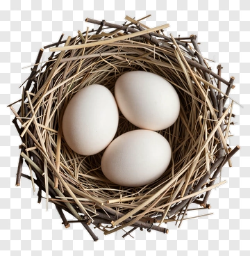 Nest With Three Eggs PNG