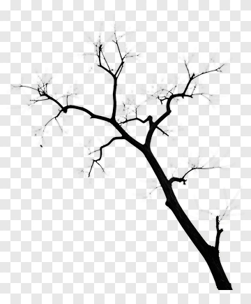 Black Tree Branch PNG