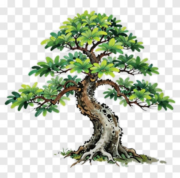 Colorful Tree PNG