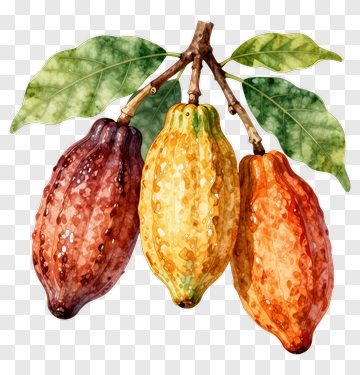 Watercolor Cocoa Pods With Leaves PNG