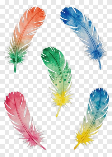 Colorful Watercolor Feathers PNG